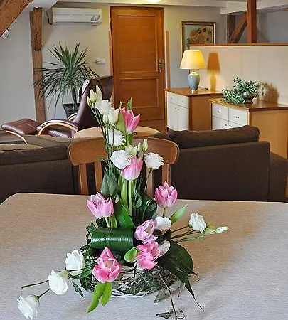 Rosalka Apartment Stara Oleska